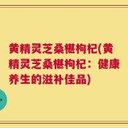 黄精灵芝桑椹枸杞(黄精灵芝桑椹枸杞：健康养生的滋补佳品)
