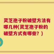 灵芝孢子粉破壁方法有哪几种(灵芝孢子粉的破壁方式有哪些？)