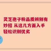 灵芝孢子粉品质辨别有妙招 从这几方面入手轻松识别优劣