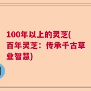 100年以上的灵芝(百年灵芝：传承千古草业智慧)