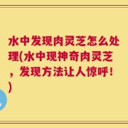 水中发现肉灵芝怎么处理(水中现神奇肉灵芝，发现方法让人惊呼！)
