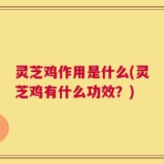 灵芝鸡作用是什么(灵芝鸡有什么功效？)