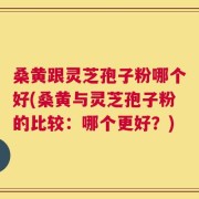 桑黄跟灵芝孢子粉哪个好(桑黄与灵芝孢子粉的比较：哪个更好？)