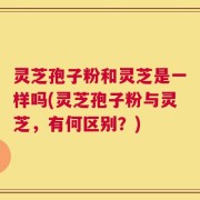 灵芝孢子粉和灵芝是一样吗(灵芝孢子粉与灵芝，有何区别？)