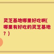 灵芝基地哪里好吃啊(哪里有好吃的灵芝基地？)