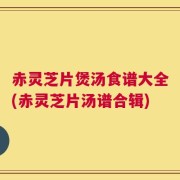 赤灵芝片煲汤食谱大全(赤灵芝片汤谱合辑)