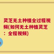 灵芝无土种植全过程视频(如何无土种植灵芝：全程视频)