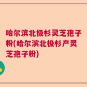 哈尔滨北极杉灵芝孢子粉(哈尔滨北极杉产灵芝孢子粉)