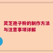 灵芝孢子粉的制作方法与注意事项详解
