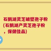 石鹅湖灵芝破壁孢子粉(石鹅湖产灵芝孢子粉，保健佳品)