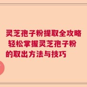 灵芝孢子粉提取全攻略 轻松掌握灵芝孢子粉的取出方法与技巧