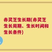 赤灵芝生长期(赤灵芝生长周期、生长时间和生长条件)