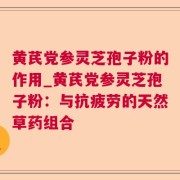 黄芪党参灵芝孢子粉的作用_黄芪党参灵芝孢子粉：与抗疲劳的天然草药组合