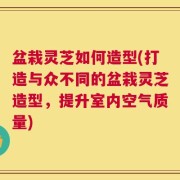 盆栽灵芝如何造型(打造与众不同的盆栽灵芝造型，提升室内空气质量)