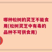 哪种松树的灵芝不能食用(松树灵芝中有毒的品种不可供食用)