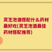 灵芝泡酒搭配什么药材最好吃(灵芝泡酒最佳药材搭配推荐)