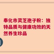 奉化市灵芝孢子粉：独特品质与健康功效的天然养生珍品