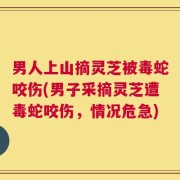 男人上山摘灵芝被毒蛇咬伤(男子采摘灵芝遭毒蛇咬伤，情况危急)