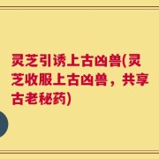 灵芝引诱上古凶兽(灵芝收服上古凶兽，共享古老秘药)