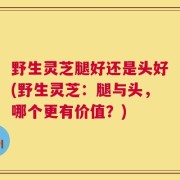 野生灵芝腿好还是头好(野生灵芝：腿与头，哪个更有价值？)
