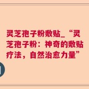 灵芝孢子粉敷贴_“灵芝孢子粉：神奇的敷贴疗法，自然治愈力量”