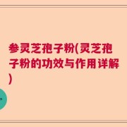 参灵芝孢子粉(灵芝孢子粉的功效与作用详解)