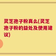 灵芝孢子粉真么(灵芝孢子粉的益处及使用建议)