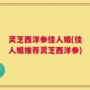 灵芝西洋参佳人姐(佳人姐推荐灵芝西洋参)