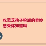 吃灵芝孢子粉后的奇妙感受你知道吗