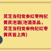 灵芝当归党参红枣枸杞黄芪泡酒(泡酒圣品，灵芝当归党参枸杞红枣黄芪皆上阵)