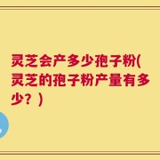 灵芝会产多少孢子粉(灵芝的孢子粉产量有多少？)