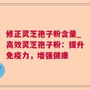 修正灵芝孢子粉含量_高效灵芝孢子粉：提升免疫力，增强健康