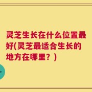 灵芝生长在什么位置最好(灵芝最适合生长的地方在哪里？)