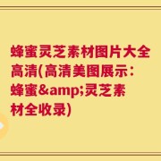 蜂蜜灵芝素材图片大全高清(高清美图展示：蜂蜜&灵芝素材全收录)