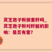 灵芝孢子粉损害肝吗_灵芝孢子粉对肝脏的影响：是否有害？