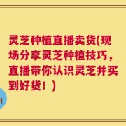 灵芝种植直播卖货(现场分享灵芝种植技巧，直播带你认识灵芝并买到好货！)