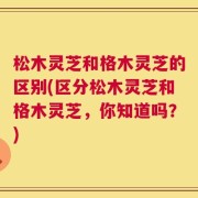 松木灵芝和格木灵芝的区别(区分松木灵芝和格木灵芝，你知道吗？)