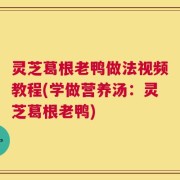 灵芝葛根老鸭做法视频教程(学做营养汤：灵芝葛根老鸭)