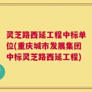 灵芝路西延工程中标单位(重庆城市发展集团中标灵芝路西延工程)