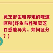 灵芝野生和养殖的味道区别(野生与养殖灵芝口感差异大，如何区分？)