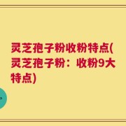 灵芝孢子粉收粉特点(灵芝孢子粉：收粉9大特点)