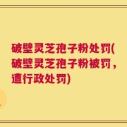破壁灵芝孢子粉处罚(破壁灵芝孢子粉被罚，遭行政处罚)