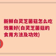 新鲜白灵芝菌菇怎么吃效果好(白灵芝菌菇的食用方法及功效)