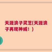 天涯浪子灵芝(天涯浪子再现神威！)