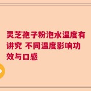 灵芝孢子粉泡水温度有讲究 不同温度影响功效与口感