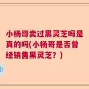 小杨哥卖过黑灵芝吗是真的吗(小杨哥是否曾经销售黑灵芝？)