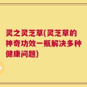 灵之灵芝草(灵芝草的神奇功效一瓶解决多种健康问题)