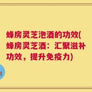 蜂房灵芝泡酒的功效(蜂房灵芝酒：汇聚滋补功效，提升免疫力)