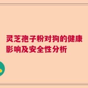 灵芝孢子粉对狗的健康影响及安全性分析