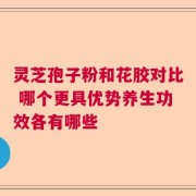 灵芝孢子粉和花胶对比 哪个更具优势养生功效各有哪些